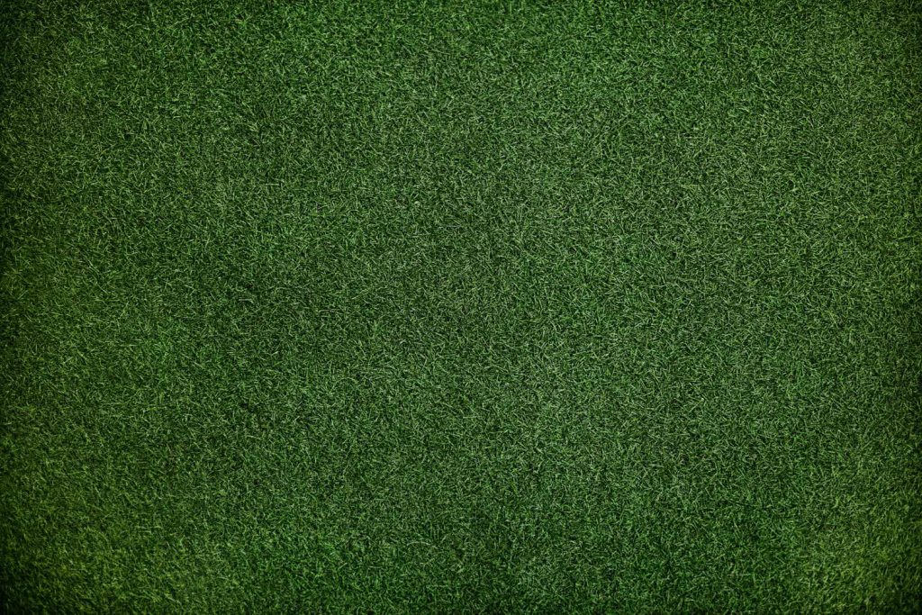 The Grass green pattern