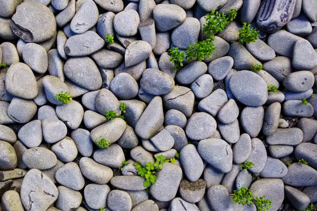 Pebbles background of rock stone